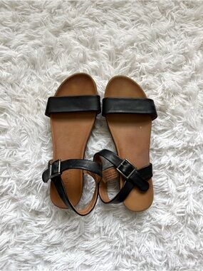 Rock & Candy Black and Tan Slide Sandals with Buckle Ankle Strap
